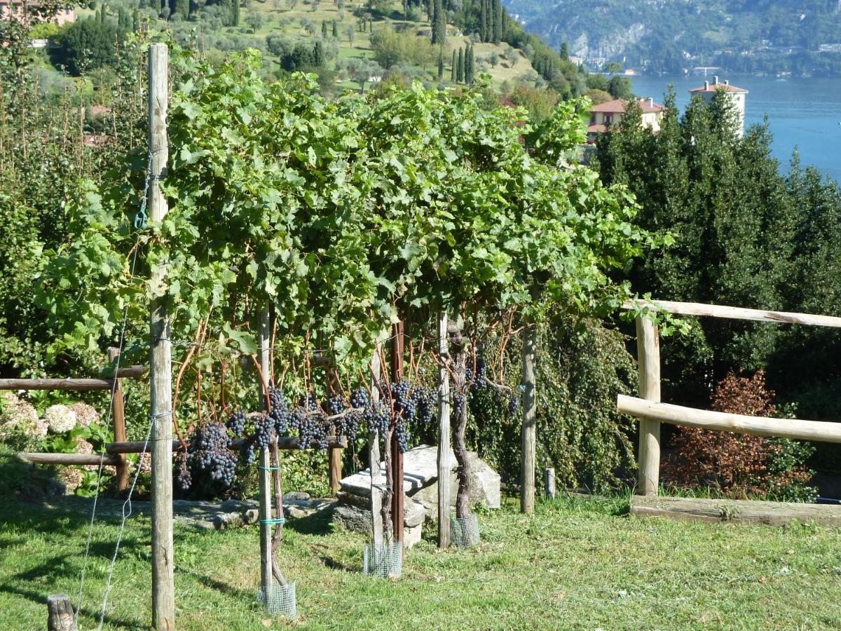 Bellagio Il Crotto Villa Ngoại thất bức ảnh