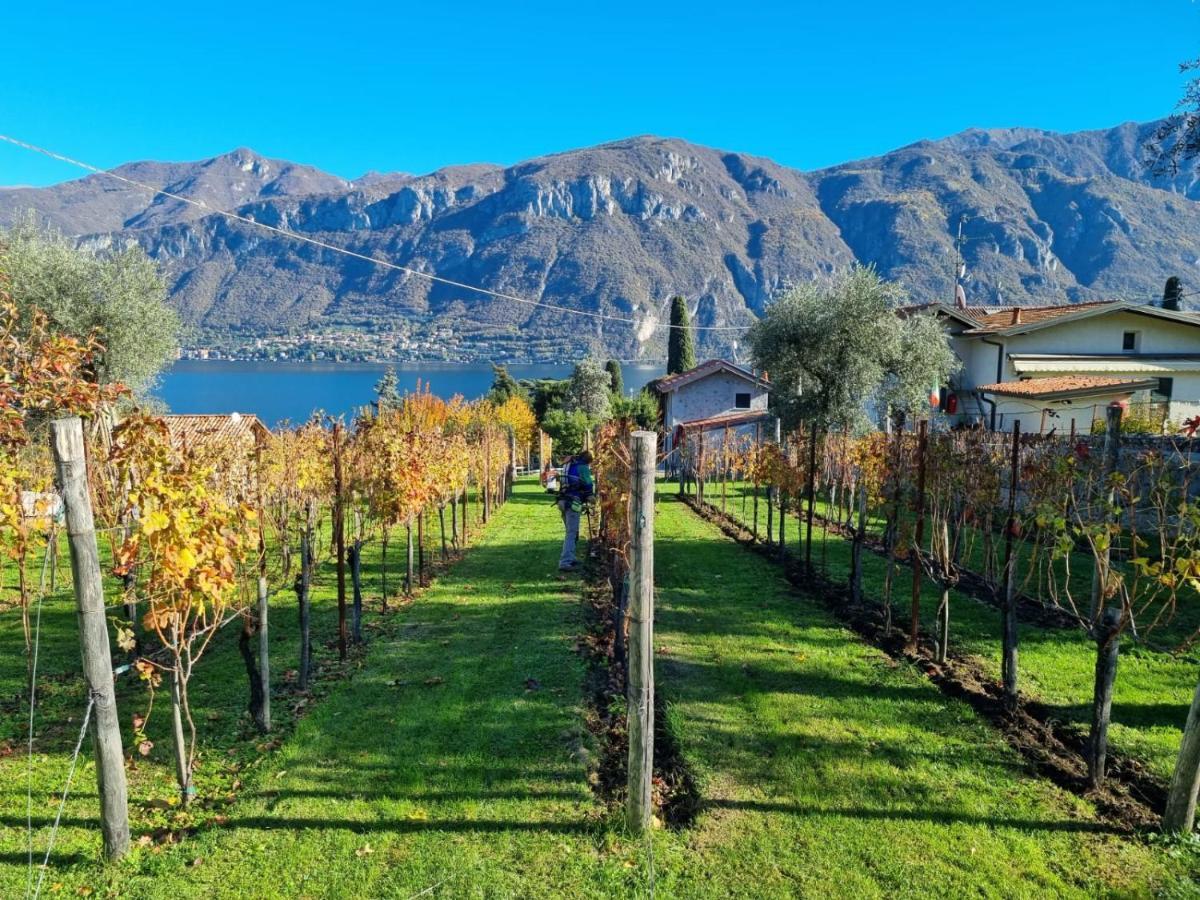 Bellagio Il Crotto Villa Ngoại thất bức ảnh