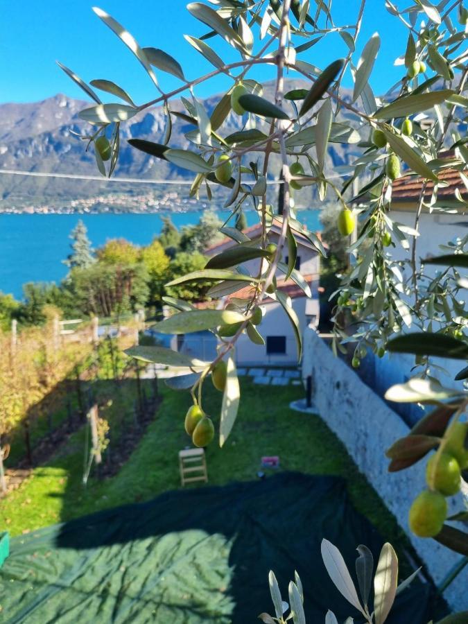Bellagio Il Crotto Villa Ngoại thất bức ảnh